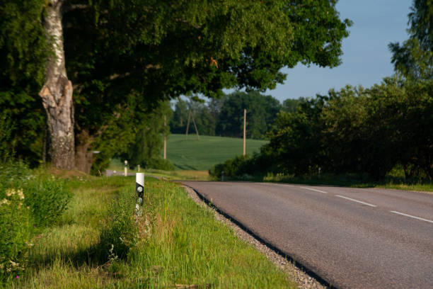 istock Beautiful paved country road under huge oak trees. Asphalt road bend. 1406909034