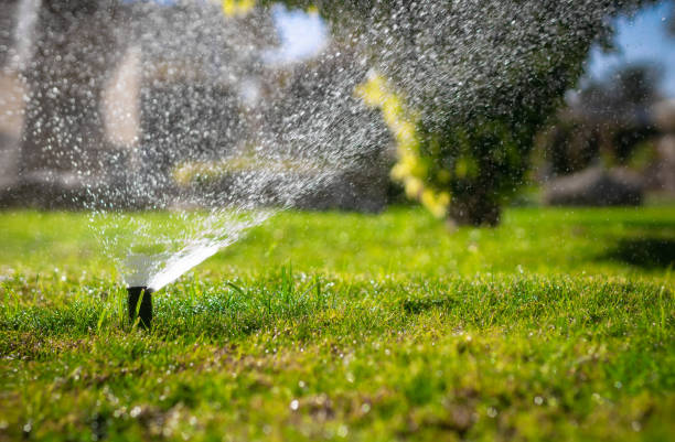 芝生に水をまく自動スプリンクラーシステム。公園内の芝生灌漑。 - 園芸用散水機 ストックフォトと画像