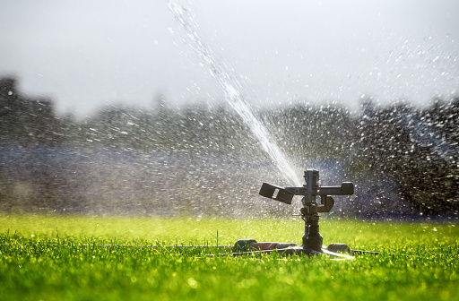 Closeup of a hand holding a yellow sprinkler watering dry grass