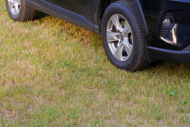 A car parking on the lawn