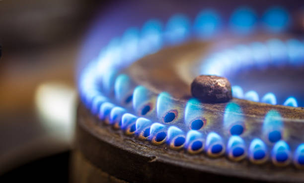 flammes bleues sur un brûleur de cuisinière à gaz domestique - natural gas gas burner flame photos et images de collection