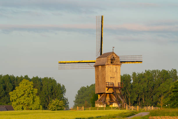 istock An Windmill in the morning 1406917357
