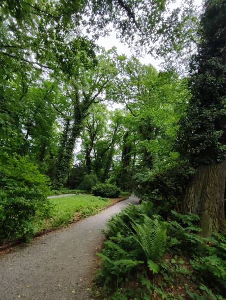 istock Wroclaw botanical garden 1406919226
