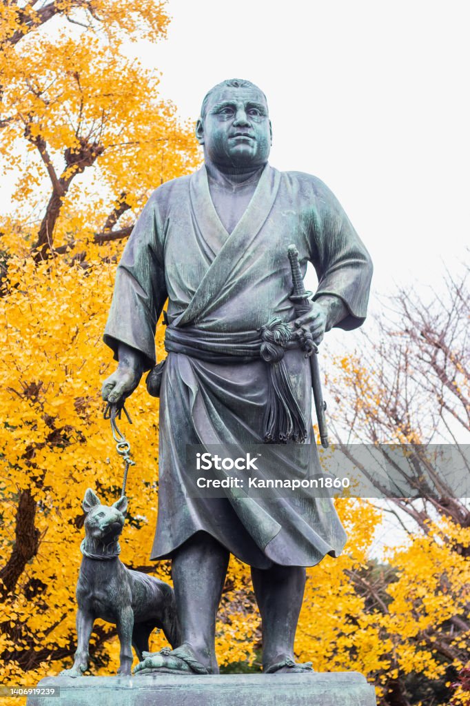 Saigo Takamori statue on yellow maple leaves background at Ueno Park. One of the most influential samurai in all of Japan.atue on yellow maple leaves background in  Japan Saigo Takamori statue on yellow maple leaves background at Ueno Park. One of the most influential samurai in all of Japan. Ueno Park Stock Photo