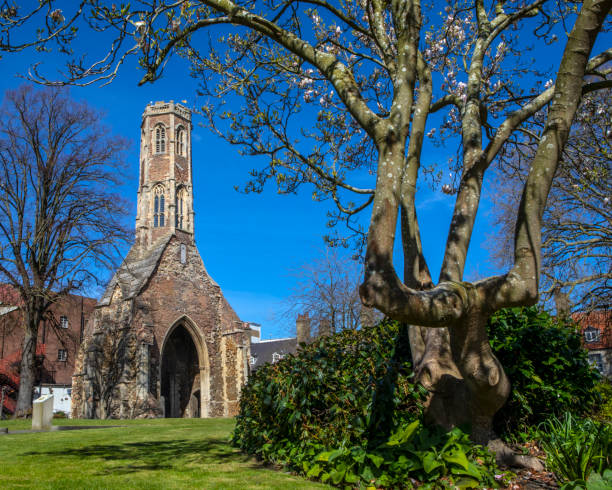 башня грейфрайарс в кингс-линн, норфолк - greyfriars church стоковые фото и изображения