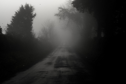 Morning fog haunts Shenandoah backroad.