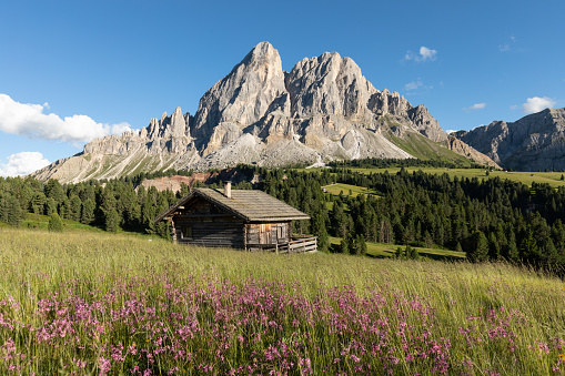 Panoramic image of Italian Dolomites with famous peaks and chalets, South Tyrol, Italy, Europe at summer sunset.\nAwesome sunny Landscape. Dolomite Alps.