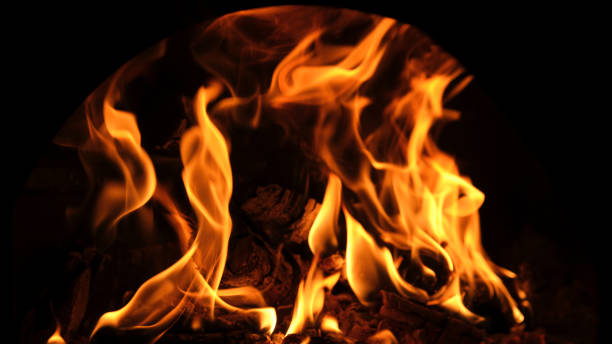 istock wood-fired oven for a pizza party 1406924562