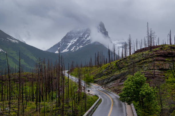 istock Windy road on a dark moody day in the mountains 1406924627