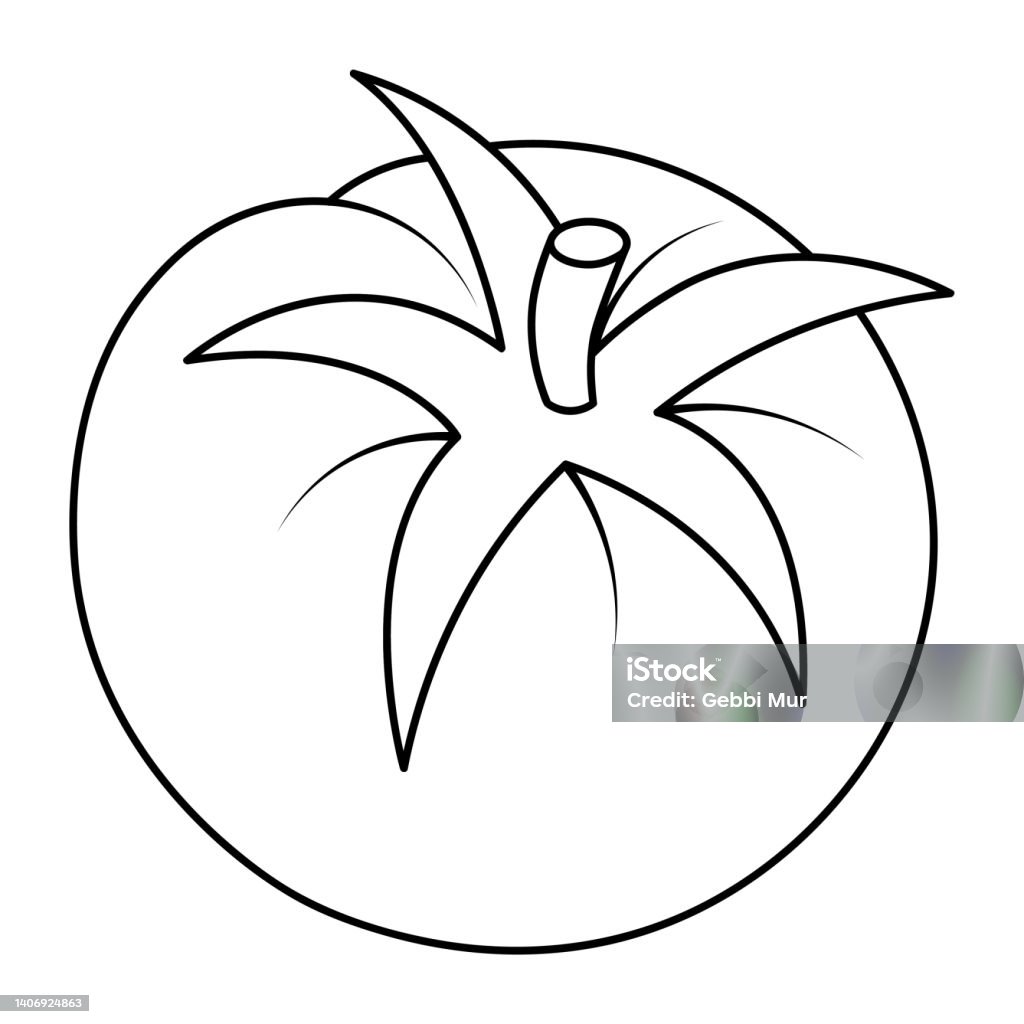 sketsa gambar tomat yang mudah ditiru