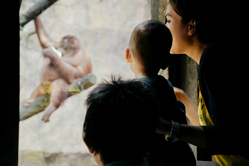 baby and his mother watching animal in the zoo