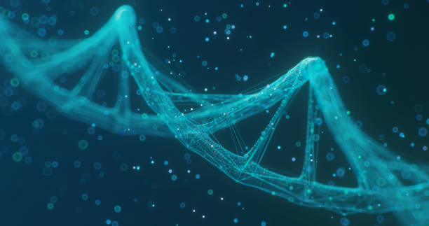fragmento de adn generado digitalmente sobre un fondo oscuro - dna chromosome biology medicine fotografías e imágenes de stock