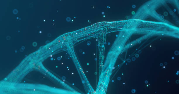 istock 3D graphics of a part of a DNA chain 1406929715