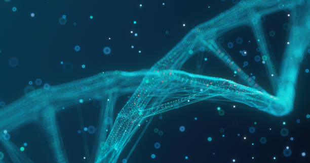 istock Digital model of a DNA fragment on a beautiful dark background 1406929716