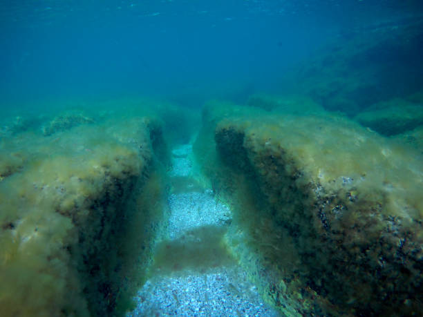 istock Underwater landscape in the sea. Caspian Sea. 1406930361
