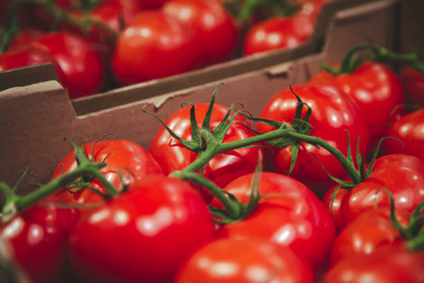 Close-up, red tomatoes in a box on the counter.