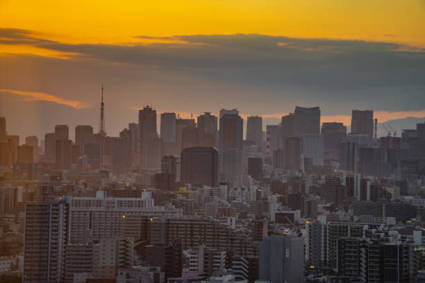 istock Tokyo townscaned at sunset time 1406931139