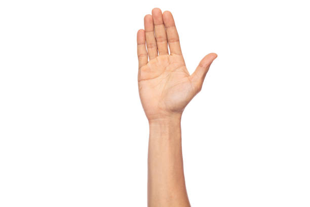 istock Man hand isolated on white background with clipping path 1406934925