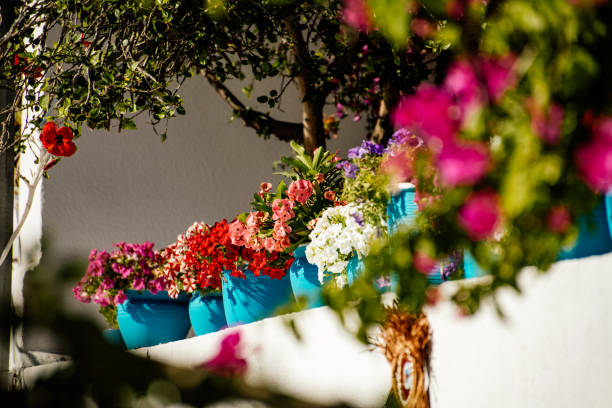 Flowers Decorating Traditional Mediterranean House
