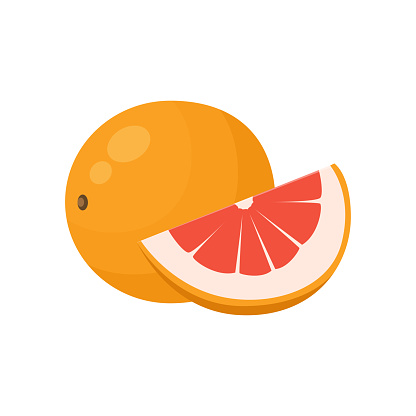 Flat vector of Grapefruit isolated on white background. Flat illustration graphic icon