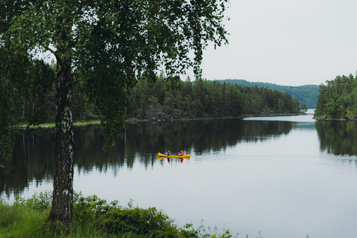 Heterosexual couple of woman and man enjoying canoeing at the scenic lake surrounded by the green pine forest in rural Sweden