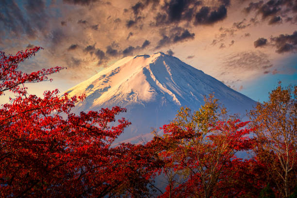 berg fuji am dramatischen himmel mit herbstlaub bei sonnenuntergang in fujikawaguchiko, japan. - sakura stock-fotos und bilder