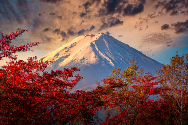 гора фудзи на драматическом небе с осенней листвой на закате в фудзикавагутико, япония. - sakura стоковые фото и изображения