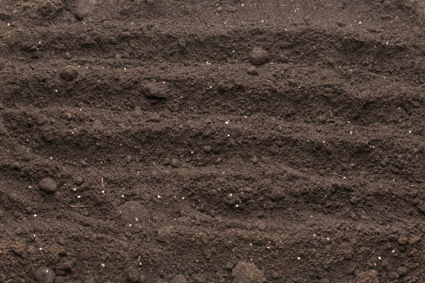 istock Black land for plant background. Top view. 1406943293