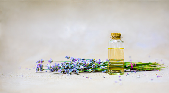 Bottle of lavender oil and bunch of flowers on a beige hand painted background with copy space.