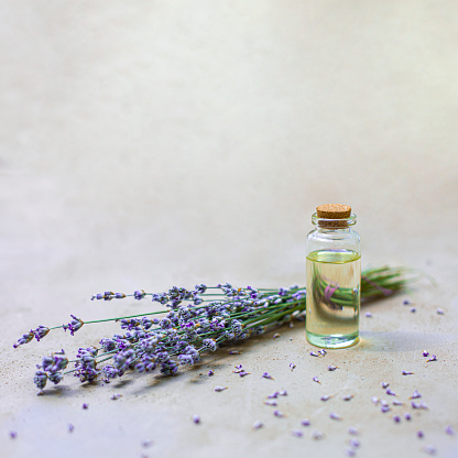 Bottle of lavender oil and bunch of flowers on beige hand painted background with copy space.