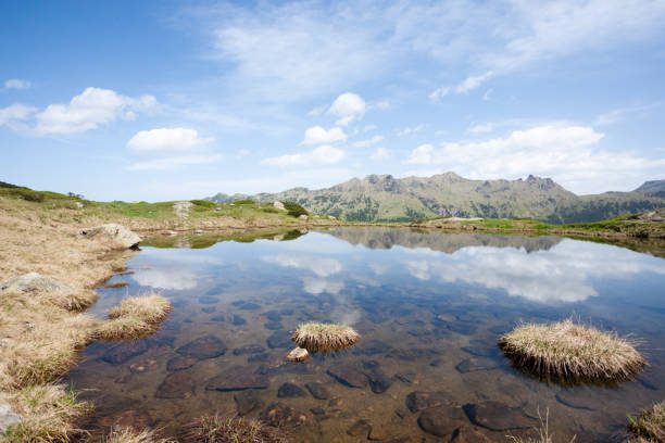 istock Lagorai mountain range landscape, italian Alps 1406944405