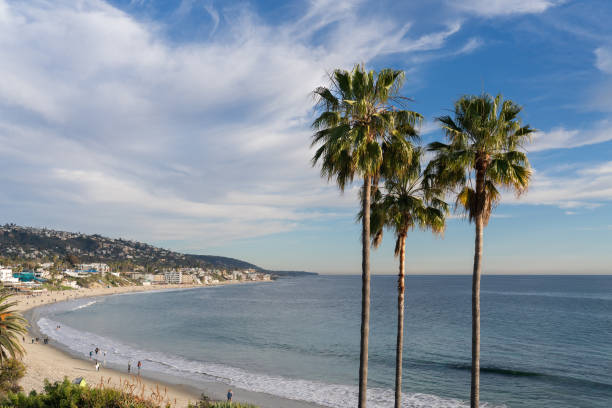 istock The Coastal Scene and the Palm Trees 1406944448