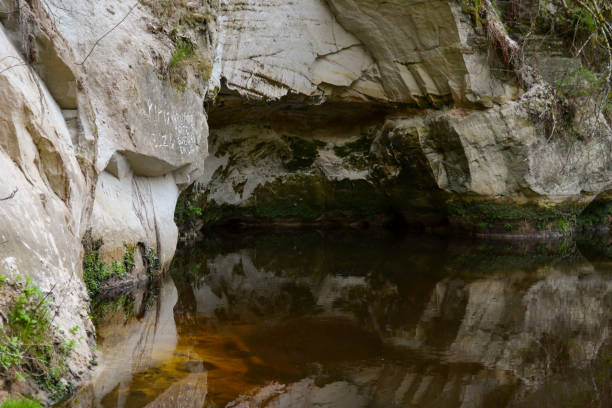 istock sandstone cliffs on the river summer water stream with high level and green foliage 1406946823