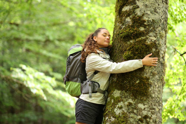 Trekker embracing a tree in a forest stock photo