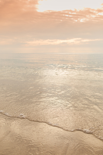 The Sandy Beach Shore During a Golden Sunrise on Palm Beach, Florida in June 2022