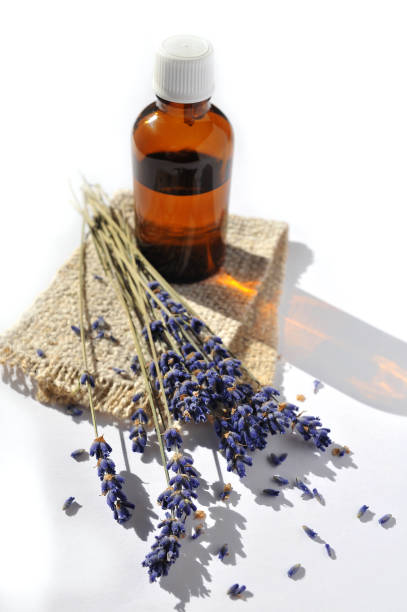 istock Lavender essential oil in a small bottle 1406948511