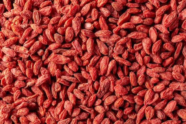 bacche di goji essiccate. - lycium chinese foto e immagini stock