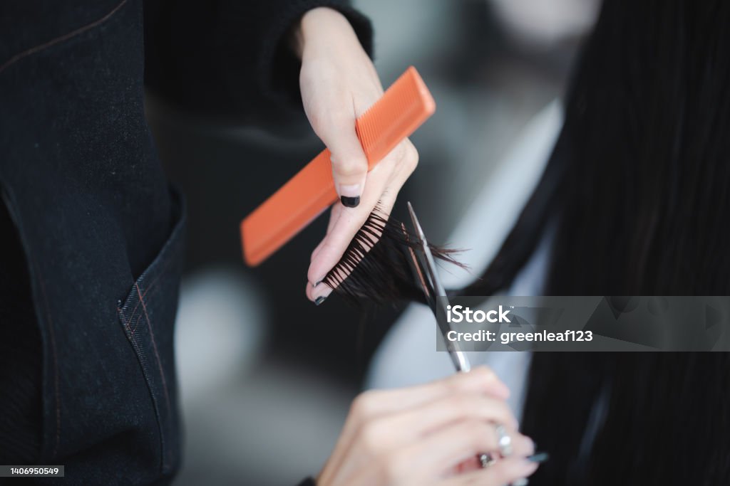 Closeup of hands of male hair stylist holding comb and scissor cutting and trimming hair of female customer Closeup of hands of young professional male hair stylist holding comb and scissor cutting, styling and trimming hair of female customer in modern and trendy salon Adult Stock Photo