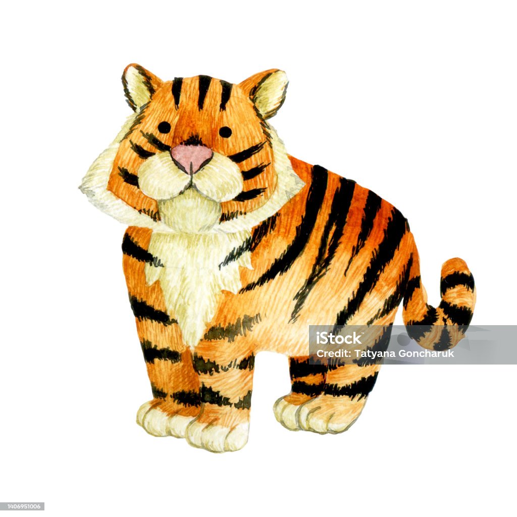 Watercolor Drawing Cute Tiger Character Isolated On White ...