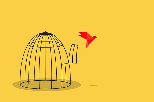 Origami paper bird escape out of birdcage, freedom concept