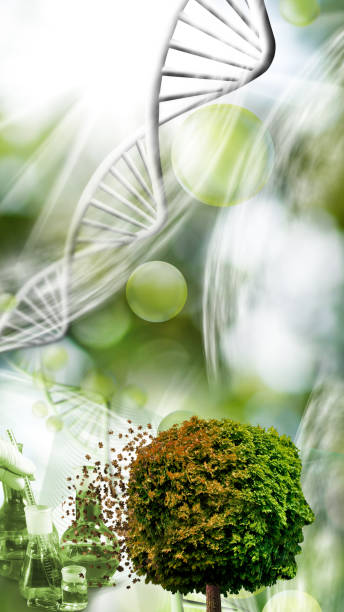 istock An abstract image of a tree that resembles a human head 1406954743
