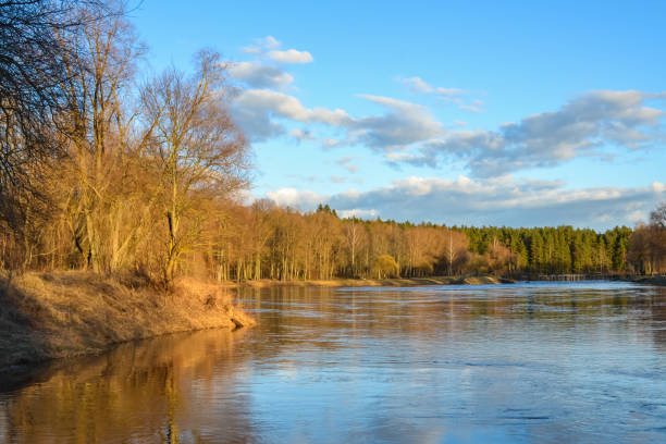 istock Scenic spring river view in forest with orange gold leaf and blue sky, tree leaf and water sand in stream. 1406957689