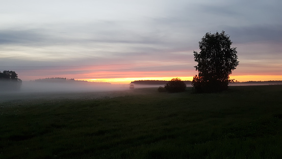 beautiful summer panoramic landscape with sun and tree silhouette and meadows at sunrise. the meadow is covered with white mist. panoramic view