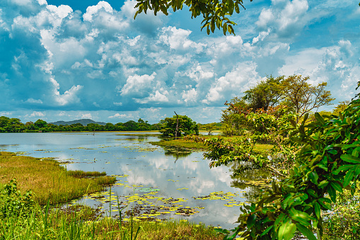 Dhalkote Lake, Central Province, Sri Lanka