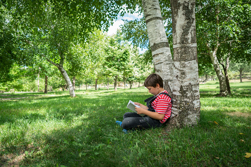 Little boy reading a book under birch tree