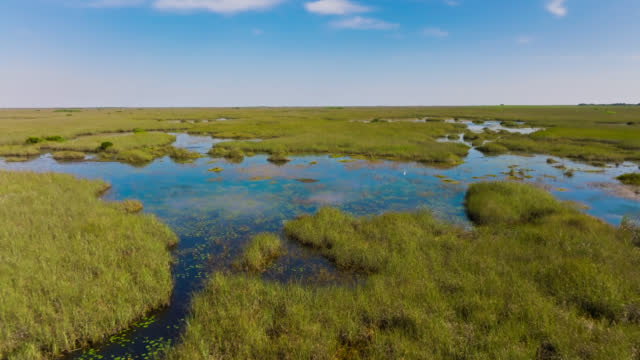 Swampy Prairie in Florida Everglades - Aerial