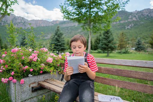 Portrait of cute boy sitting on a wooden bench and reading a book in the park. Boy reading a book in the garden on a summer day. Outdoor. Education and entertainment concept. Life style.