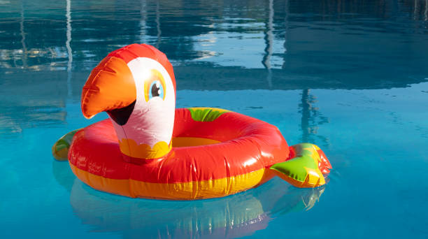 istock swimming ring in the pool 1406967458