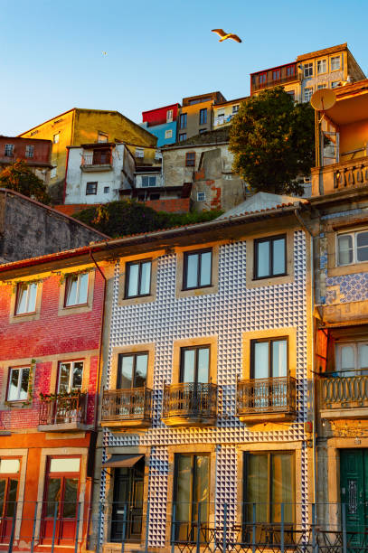 istock Old town facades sunset Porto 1406968821