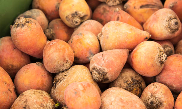 istock yellow beet roots at a market stall 1406969080